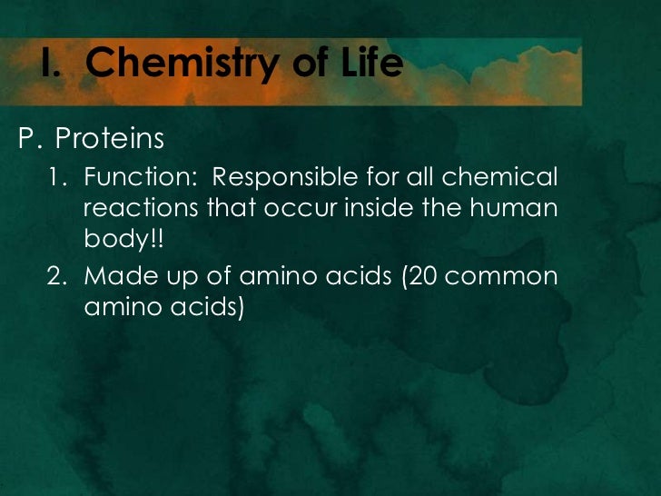 two in all proteins found are elements what chemical 3 (chemistry Chapter section life) of 1 two in all proteins found are elements what chemical 3 (chemistry Chapter section life) of 1