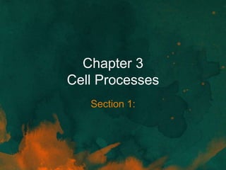 Chapter 3
Cell Processes
Section 1:
 
