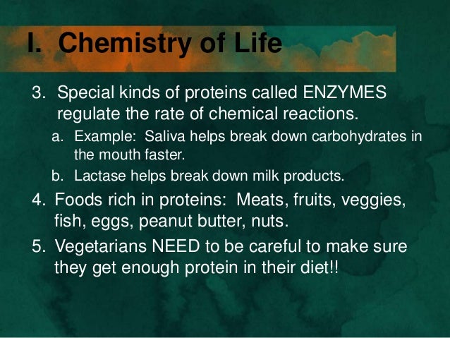 proteins what found all in elements are chemical two life) of (chemistry 3 1 section Chapter proteins what found all in elements are chemical two life) of (chemistry 3 1 section Chapter