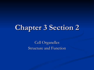 Chapter 3 Section 2 Cell Organelles Structure and Function 