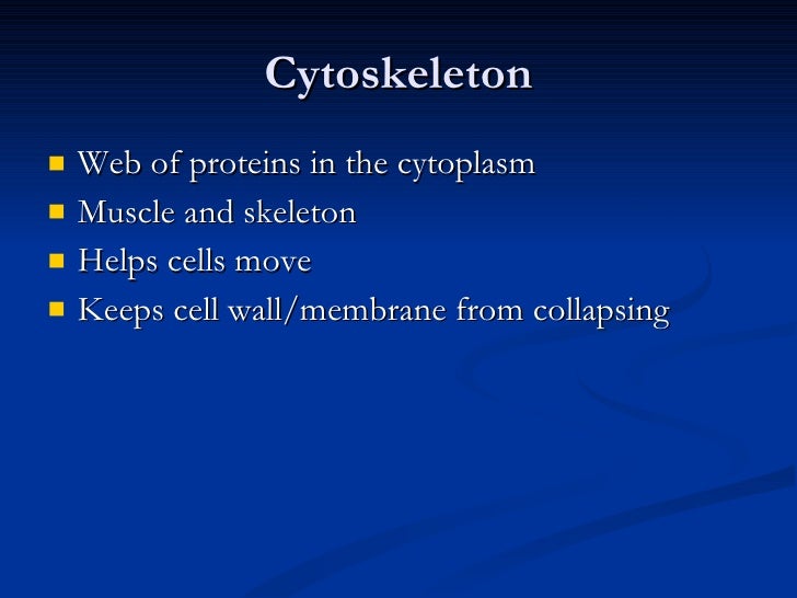 Cell Organelles