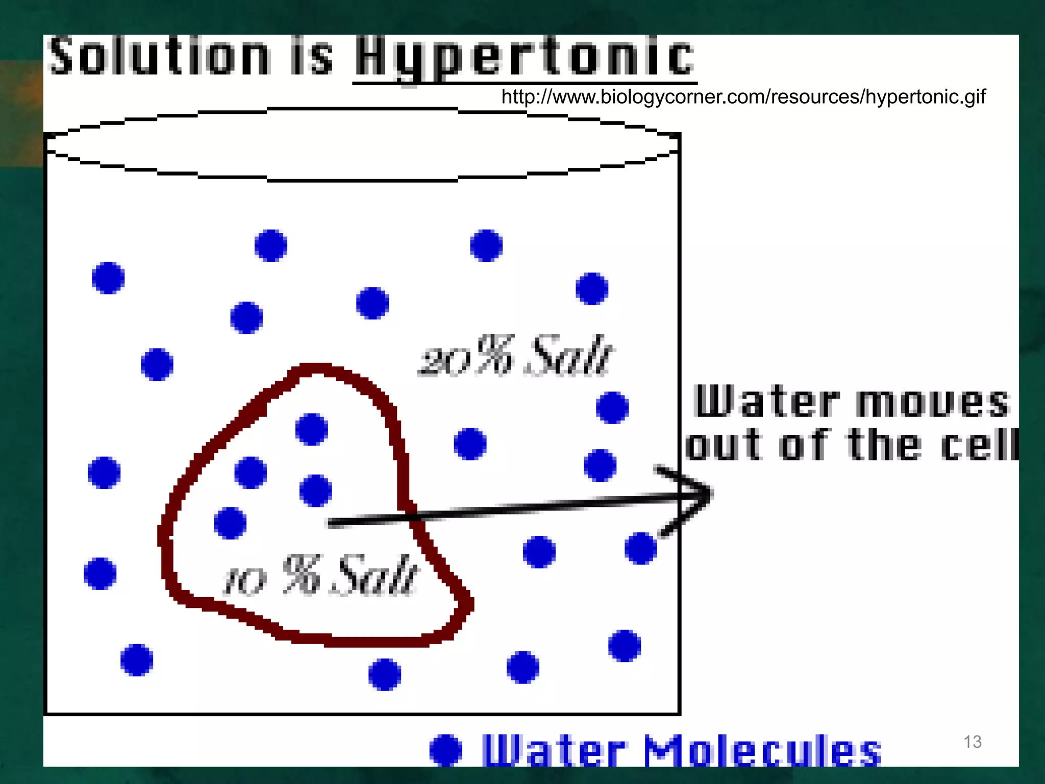 http://www.biologycorner.com/resources/hypertonic.gif
13
 