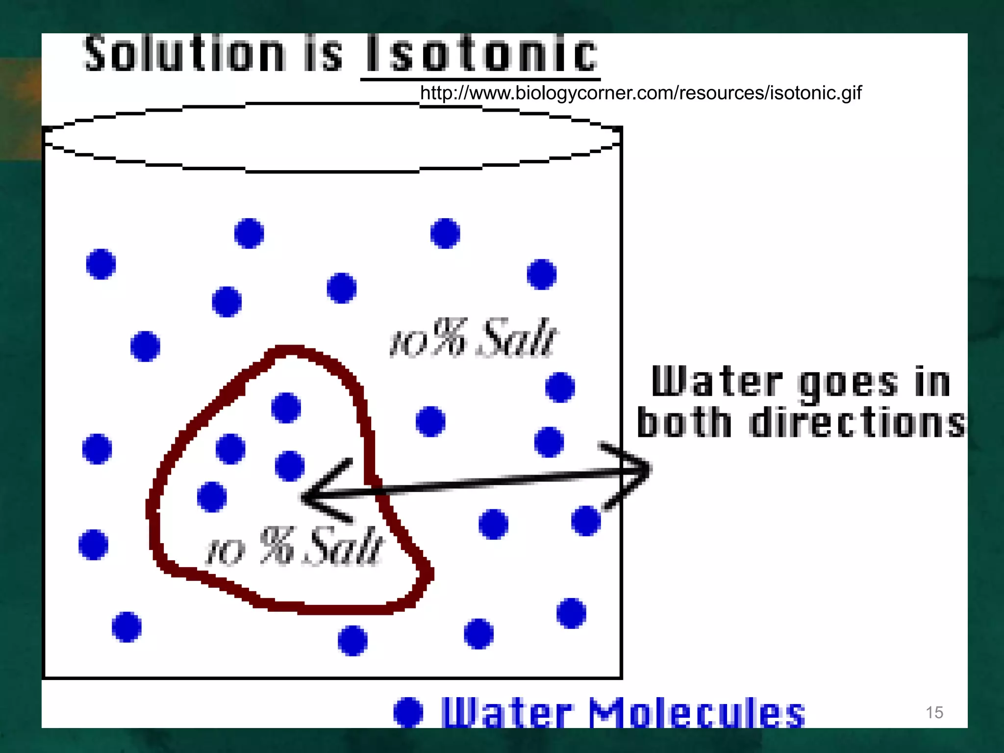 http://www.biologycorner.com/resources/isotonic.gif
15
 