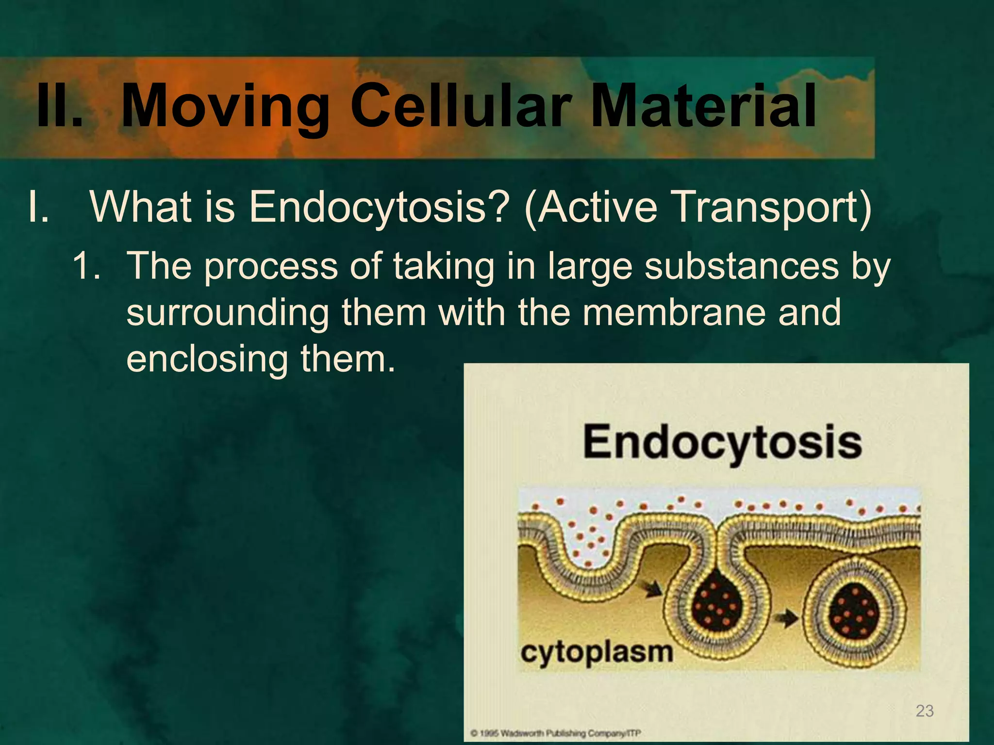 II. Moving Cellular Material
I. What is Endocytosis? (Active Transport)
1. The process of taking in large substances by
surrounding them with the membrane and
enclosing them.
23
 