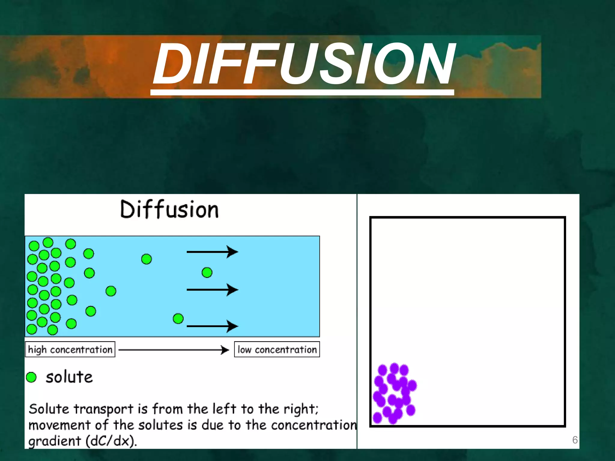 DIFFUSION
6
 