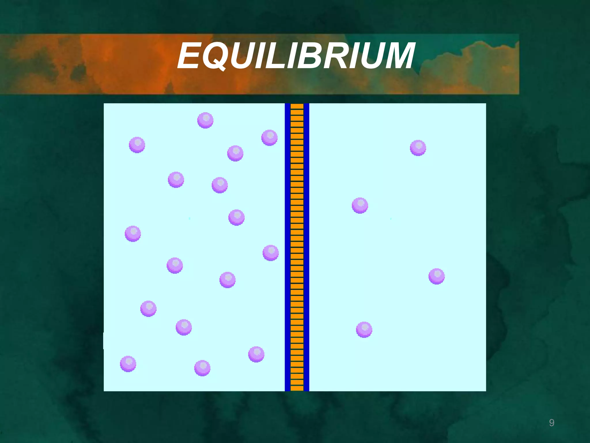 EQUILIBRIUM
9
 
