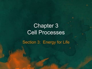 Chapter 3 section 3 notes | PPTX