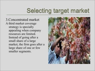 3.Concentrated market
A third market coverage
strategy is specially
appealing when company
resources are limited.
Instead of going after a
small share of a large
market, the firm goes after a
large share of one or few
smaller segments.
Concentrated Marketing
 