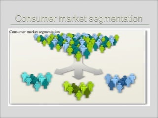 Consumer market segmentation
 
