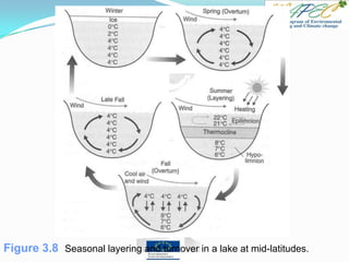 Figure 3.8 Seasonal layering and turnover in a lake at mid-latitudes.
 