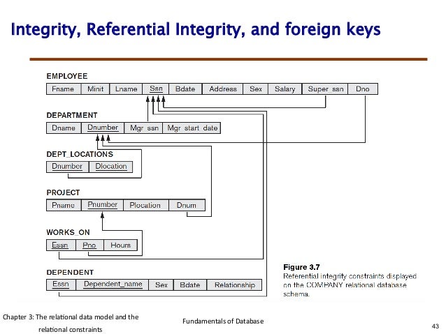 model database semantic the data and relational relation Chapter3 the model model database semantic the data and relational relation Chapter3 the model