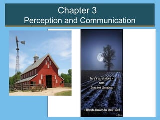 Chapter 3
Perception and Communication
 
