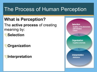 The Process of Human Perception
What is Perception?
The active process of creating
meaning by:
1)Selection
1)Organization
1)Interpretation
 