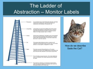 The Ladder of
Abstraction – Monitor Labels
How do we describe
Sade the Cat?
 