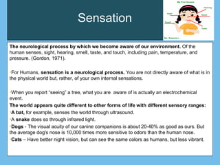 Sensation
The neurological process by which we become aware of our environment. Of the
human senses, sight, hearing, smell, taste, and touch, including pain, temperature, and
pressure. (Gordon, 1971).
•For Humans, sensation is a neurological process. You are not directly aware of what is in
the physical world but, rather, of your own internal sensations.
•When you report “seeing” a tree, what you are aware of is actually an electrochemical
event.
The world appears quite different to other forms of life with different sensory ranges:
•A bat, for example, senses the world through ultrasound.
•A snake does so through infrared light.
•Dogs - The visual acuity of our canine companions is about 20-40% as good as ours. But
the average dog's nose is 10,000 times more sensitive to odors than the human nose.
•Cats – Have better night vision, but can see the same colors as humans, but less vibrant.
 