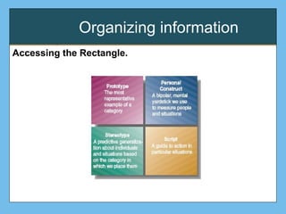Organizing information
Accessing the Rectangle.
 