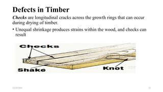 Chapter 3: Construction Materials Timber part .pptx