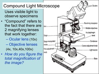 Chapter 3 tools of the laboratory e mail | PPT