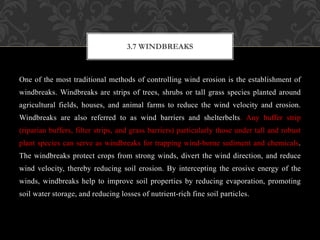 One of the most traditional methods of controlling wind erosion is the establishment of
windbreaks. Windbreaks are strips of trees, shrubs or tall grass species planted around
agricultural fields, houses, and animal farms to reduce the wind velocity and erosion.
Windbreaks are also referred to as wind barriers and shelterbelts. Any buffer strip
(riparian buffers, filter strips, and grass barriers) particularly those under tall and robust
plant species can serve as windbreaks for trapping wind-borne sediment and chemicals.
The windbreaks protect crops from strong winds, divert the wind direction, and reduce
wind velocity, thereby reducing soil erosion. By intercepting the erosive energy of the
winds, windbreaks help to improve soil properties by reducing evaporation, promoting
soil water storage, and reducing losses of nutrient-rich fine soil particles.
3.7 WINDBREAKS
 