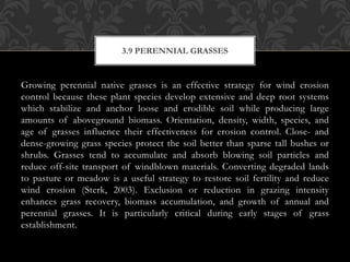 Growing perennial native grasses is an effective strategy for wind erosion
control because these plant species develop extensive and deep root systems
which stabilize and anchor loose and erodible soil while producing large
amounts of aboveground biomass. Orientation, density, width, species, and
age of grasses influence their effectiveness for erosion control. Close- and
dense-growing grass species protect the soil better than sparse tall bushes or
shrubs. Grasses tend to accumulate and absorb blowing soil particles and
reduce off-site transport of windblown materials. Converting degraded lands
to pasture or meadow is a useful strategy to restore soil fertility and reduce
wind erosion (Sterk, 2003). Exclusion or reduction in grazing intensity
enhances grass recovery, biomass accumulation, and growth of annual and
perennial grasses. It is particularly critical during early stages of grass
establishment.
3.9 PERENNIAL GRASSES
 