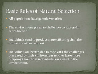 Ecosystems and Evolution | PPTX