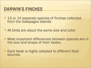 13 or 14 separate species of finches collected from the Galapagos Islands All birds are about the same size and color. Most important differences between species are in the size and shape of their beaks. Each beak is highly adapted to different food sources. 