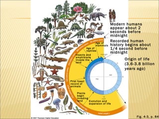 Fig. 4-3, p. 84 Modern humans appear about 2 seconds before midnight Recorded human history begins about 1/4 second before midnight Origin of life (3.6-3.8 billion years ago) Age of mammals Age of reptiles Insects and amphibians invade the land First fossil record of animals Plants begin invading land Evolution and expansion of life 