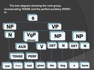    The tree diagram showing the verb group incorporating TENSE and the perfect auxiliary (PERF) is: