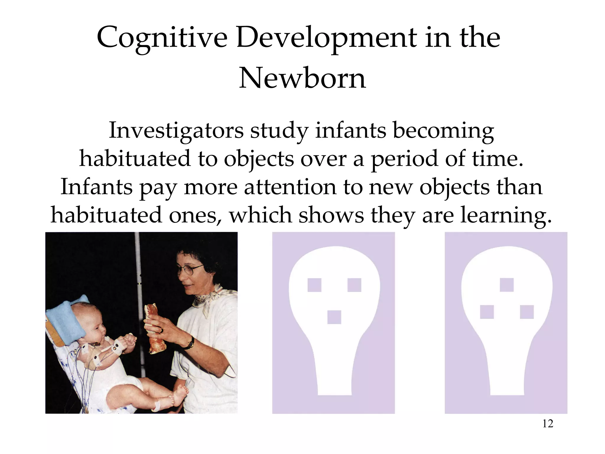 Cognitive Development in the  Newborn Investigators study infants becoming habituated to objects over a period of time. Infants pay more attention to new objects than habituated ones, which shows they are learning.  