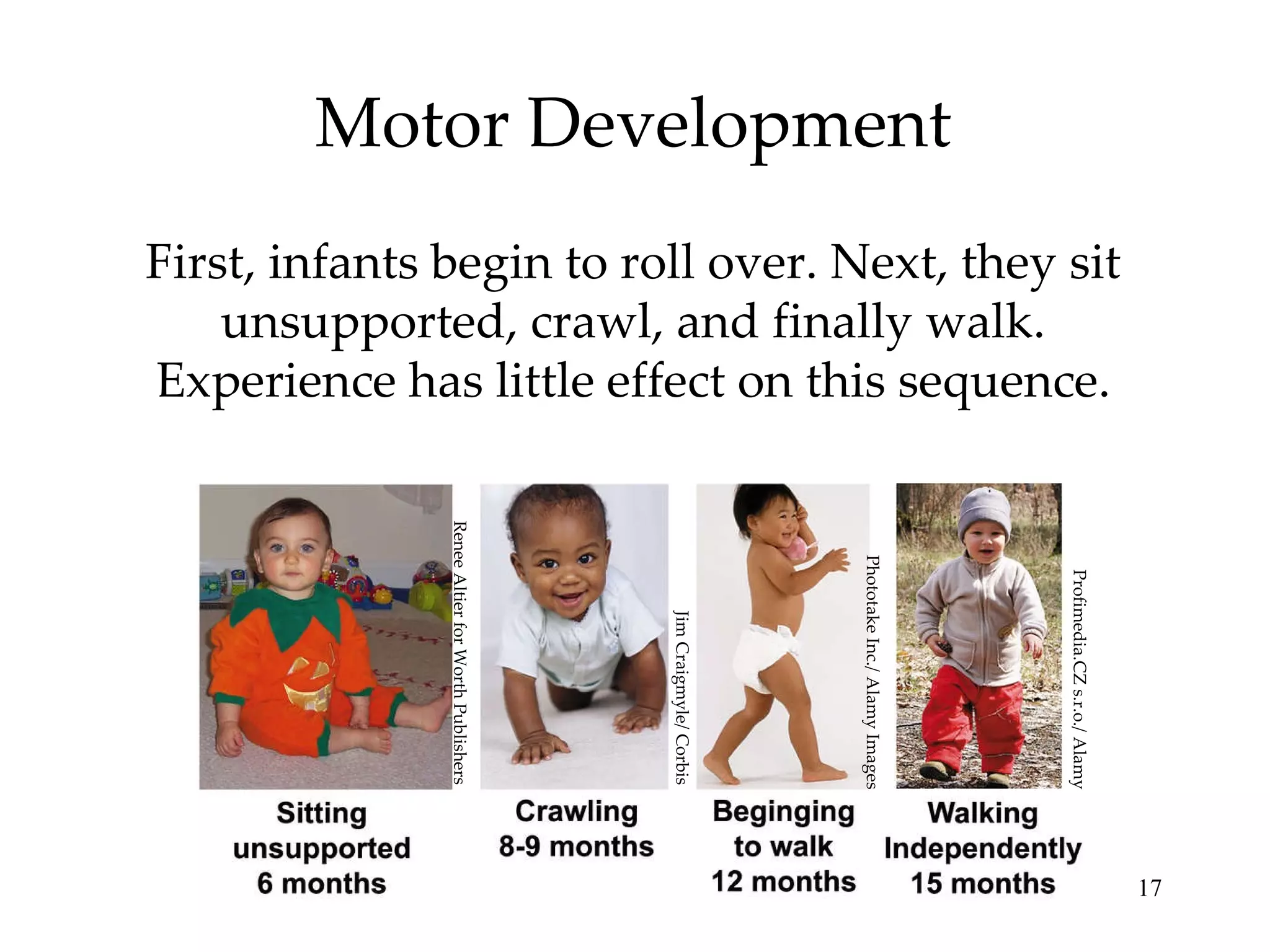 Motor Development First, infants begin to roll over. Next, they sit unsupported, crawl, and finally walk. Experience has little effect on this sequence. Renee Altier for Worth Publishers Jim Craigmyle/ Corbis Phototake Inc./ Alamy Images Profimedia.CZ s.r.o./ Alamy 