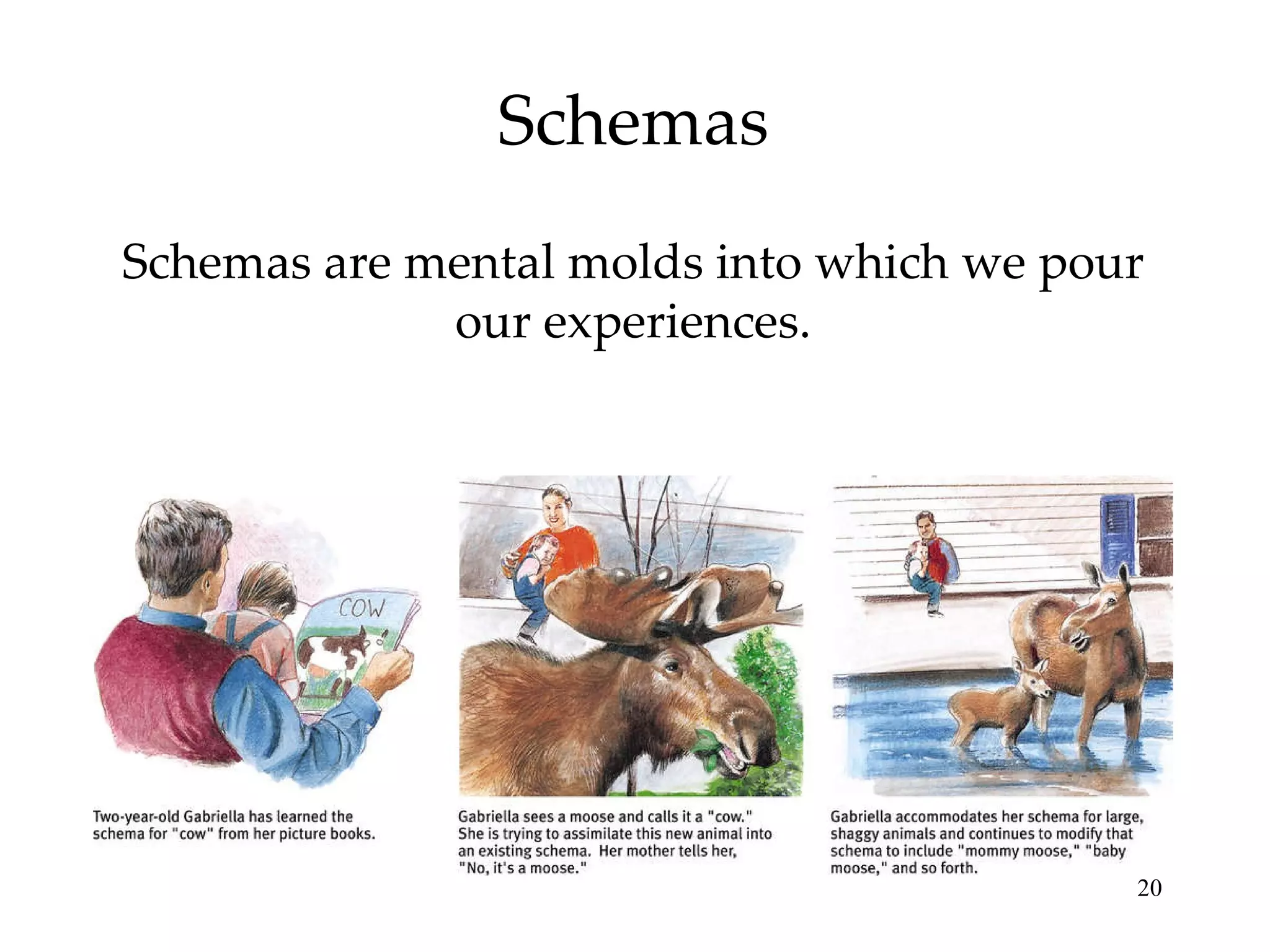 Schemas Schemas are mental molds into which we pour our experiences. 