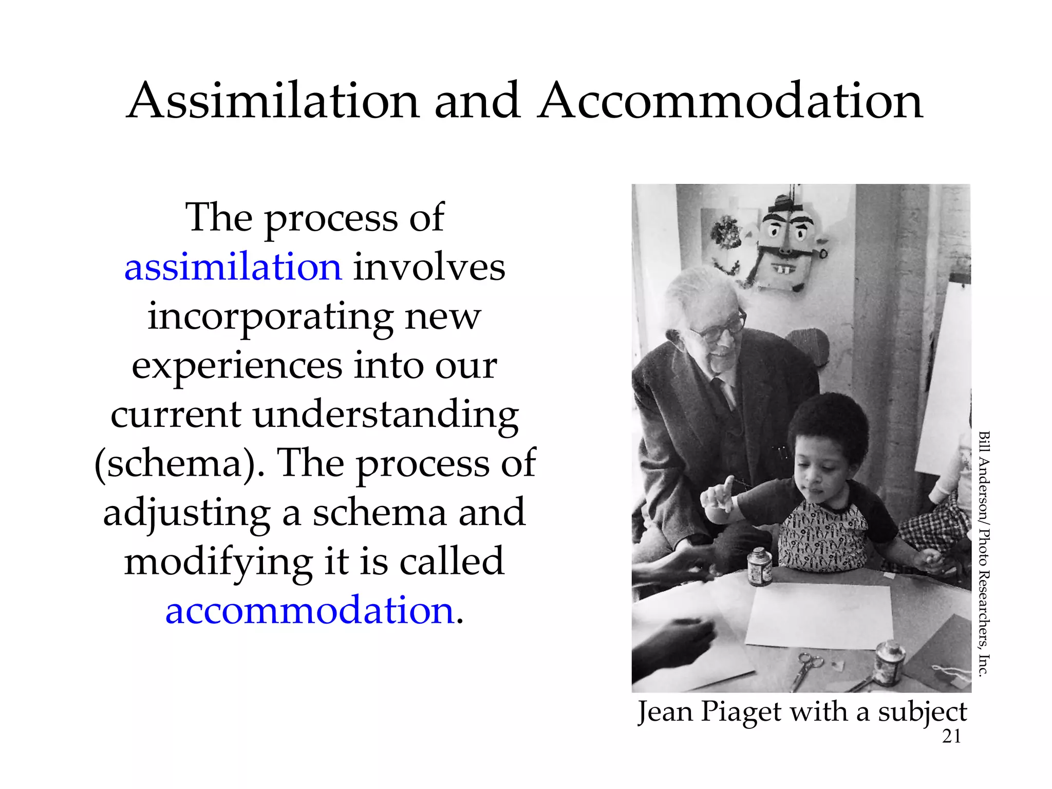 Assimilation and Accommodation The process of  assimilation  involves incorporating new experiences into our current understanding (schema). The process of adjusting a schema and modifying it is called  accommodation . Jean Piaget with a subject Bill Anderson/ Photo Researchers, Inc.  