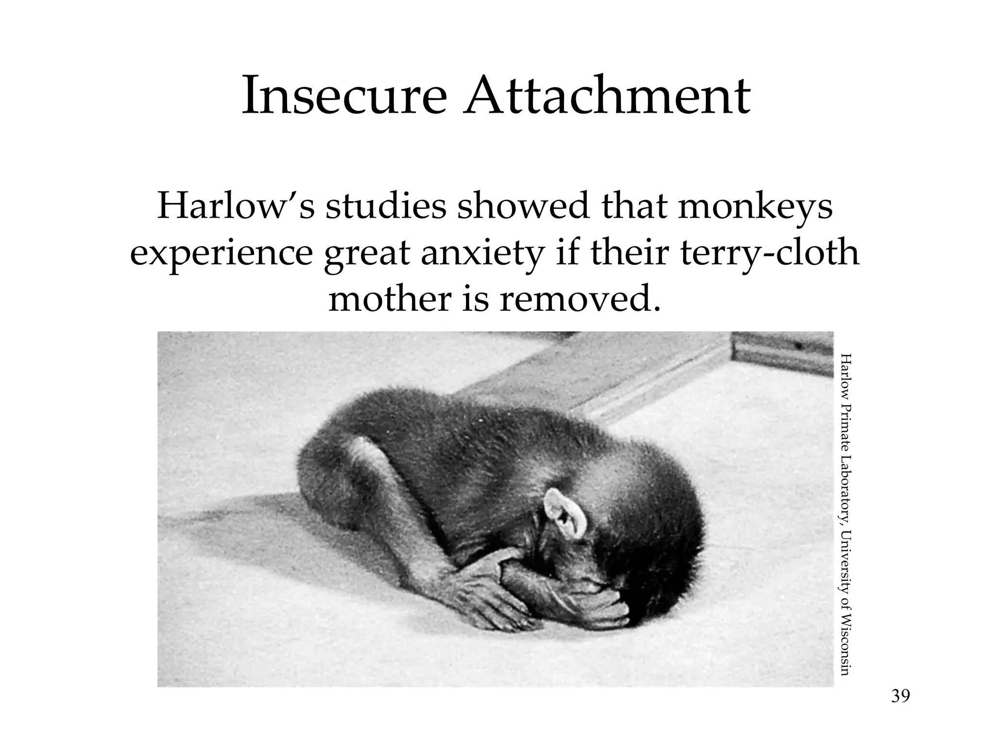 Insecure Attachment Harlow’s studies showed that monkeys experience great anxiety if their terry-cloth mother is removed. Harlow Primate Laboratory, University of Wisconsin 