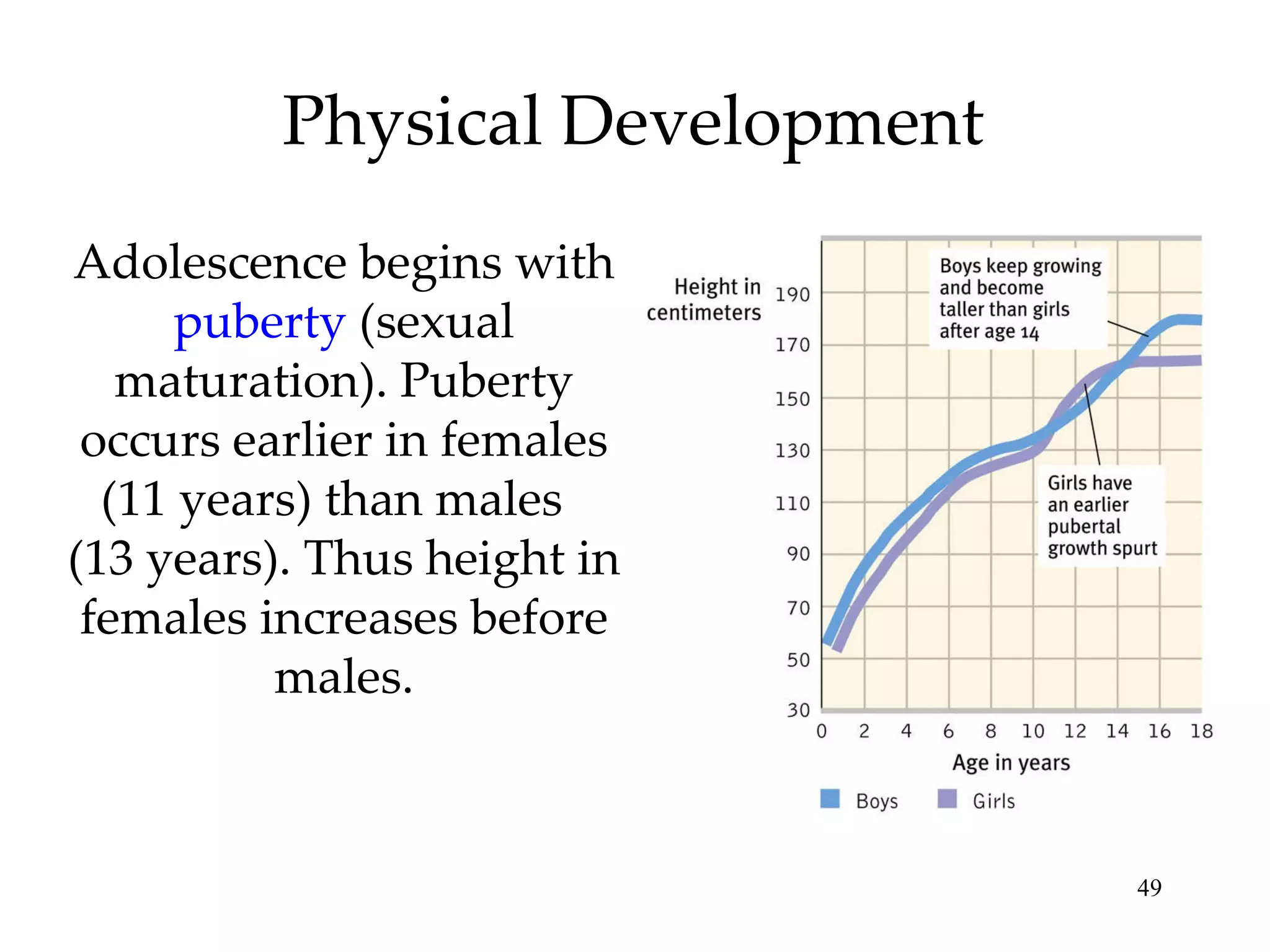 Physical Development Adolescence begins with  puberty  (sexual maturation). Puberty occurs earlier in females (11 years) than males  (13 years). Thus height in females increases before males. 