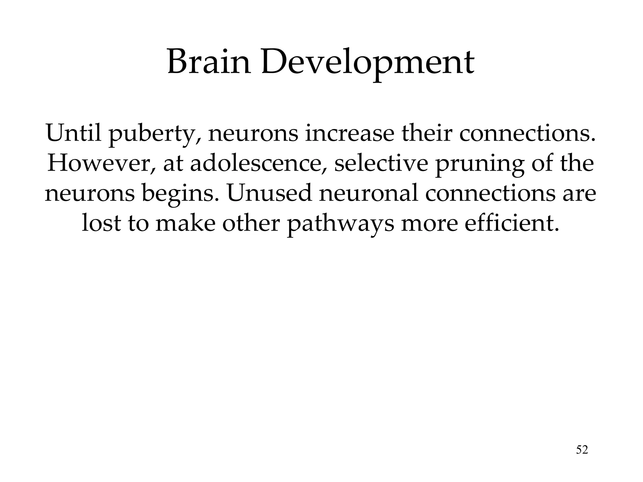 Brain Development Until puberty, neurons increase their connections. However, at adolescence, selective pruning of the neurons begins. Unused neuronal connections are lost to make other pathways more efficient. 
