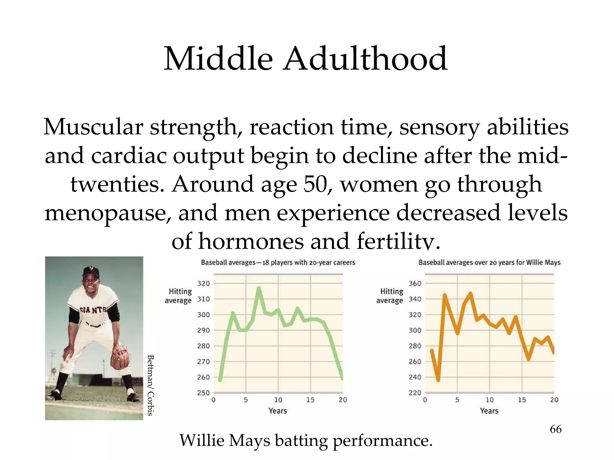 Middle Adulthood Muscular strength, reaction time, sensory abilities and cardiac output begin to decline after the mid-twenties. Around age 50, women go through menopause, and men experience decreased levels of hormones and fertility. Willie Mays batting performance. Bettman/ Corbis 
