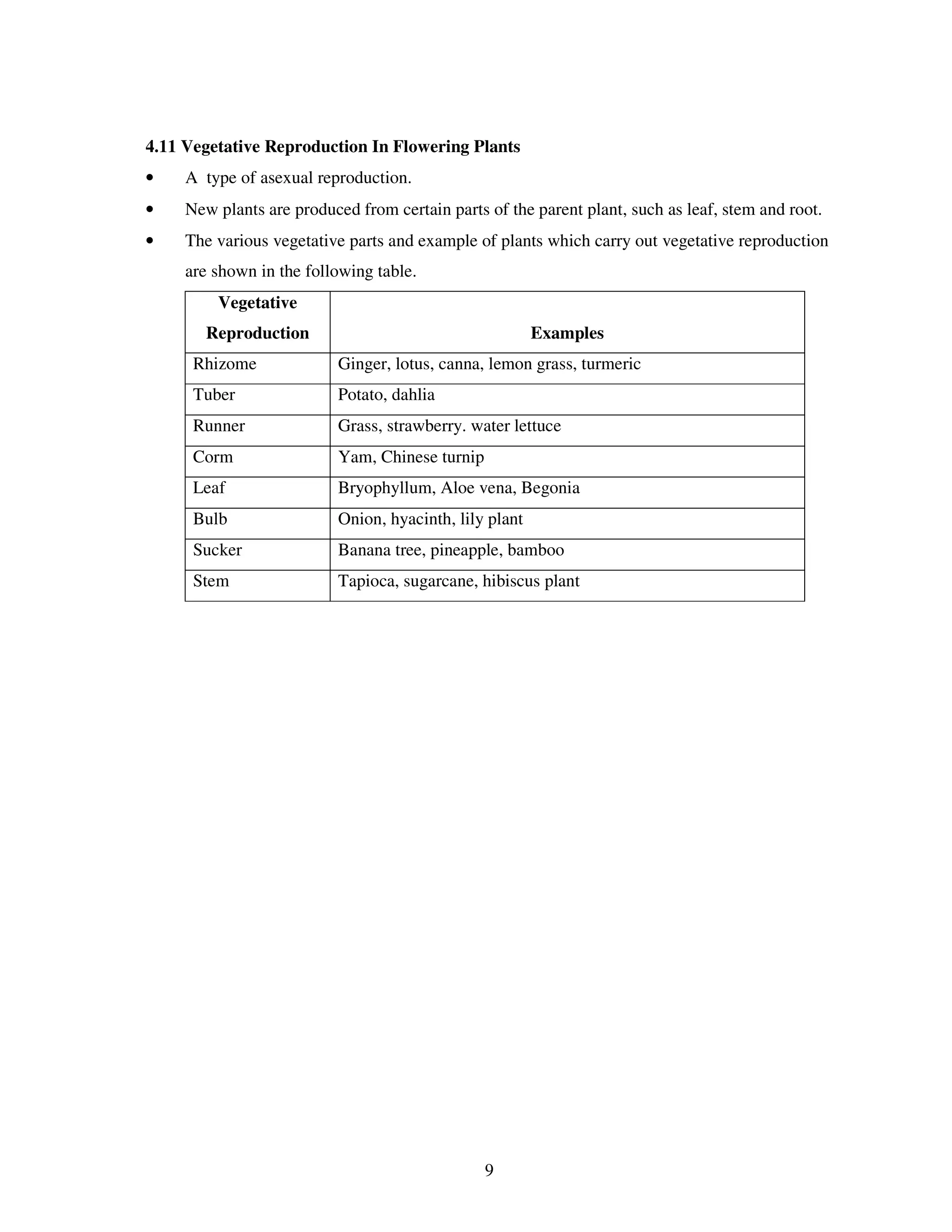4.11 Vegetative Reproduction In Flowering Plants
•    A type of asexual reproduction.
•    New plants are produced from certain parts of the parent plant, such as leaf, stem and root.
•    The various vegetative parts and example of plants which carry out vegetative reproduction
     are shown in the following table.
         Vegetative
       Reproduction                                      Examples
      Rhizome              Ginger, lotus, canna, lemon grass, turmeric
      Tuber                Potato, dahlia
      Runner               Grass, strawberry. water lettuce
      Corm                 Yam, Chinese turnip
      Leaf                 Bryophyllum, Aloe vena, Begonia
      Bulb                 Onion, hyacinth, lily plant
      Sucker               Banana tree, pineapple, bamboo
      Stem                 Tapioca, sugarcane, hibiscus plant




                                                 9
 