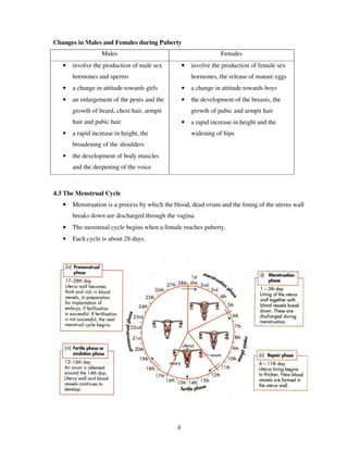 Changes in Males and Females during Puberty
                  Males                                           Females
   •   involve the production of male sex          •   involve the production of female sex
       hormones and sperms                             hormones, the release of mature eggs
   •   a change in attitude towards girls          •   a change in attitude towards boys
   •   an enlargement of the penis and the         •   the development of the breasts, the
       growth of beard, chest hair, armpit             growth of pubic and armpit hair
       hair and pubic hair                         •   a rapid increase in height and the
   •   a rapid increase in height, the                 widening of hips
       broadening of the shoulders
   •   the development of body muscles
       and the deepening of the voice



4.3 The Menstrual Cycle
   •   Menstruation is a process by which the blood, dead ovum and the lining of the uterus wall
       breaks down are discharged through the vagina.
   •   The menstrual cycle begins when a female reaches puberty.
   •   Each cycle is about 28 days.




                                               4
 