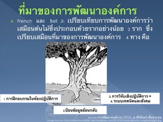 ž    French และ         เปรียบเทียบการพัฒนาองค์การว่า
                             Bell Jr.
             เสมือนต้นไม้ซึ่งประกอบด้วยรากอย่างน้อย 3 ราก ซึ่ง
             เปรียบเสมือนที่มาของการพัฒนาองค์การ 4 ทาง คือ	




                                                                                   3. การวิจับเชิงปฏิบัติการ +
1.   การฝึกอบกรมในห้องปฏิบัติการ	
                                                                                     4. ระบบเทคนิคและสังคม 	


                                         2.ป้อนข้อมูลย้อนกลับ	
                                                                Source: การพัฒนาองค์การ(2553),อ.ศิริจันทร์ เชื้อสุวรรณ	
                           Image Source: http://clarionfoundation.files.wordpress.com/2012/03/arbreinspiration_englishbloggris.jpg	
 