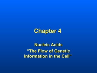 Chapter 4

     Nucleic Acids
  “The Flow of Genetic
Information in the Cell”
 