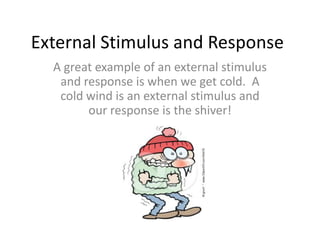 External Stimulus and Response
  A great example of an external stimulus
   and response is when we get cold. A
   cold wind is an external stimulus and
        our response is the shiver!
 