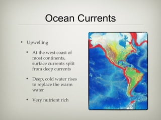 Ocean Currents

• Upwelling

  • At the west coast of
    most continents,
    surface currents split
    from deep currents

  • Deep, cold water rises
    to replace the warm
    water

  • Very nutrient rich
 