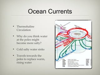 Ocean Currents

• Thermohaline
  Circulation

• Why do you think water
  at the poles might
  become more salty?

• Cold salty water sinks

• Travels towards the
  poles to replace warm,
  rising water
 