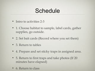 Schedule
• Intro to activities 2-3

• 1. Choose habitat to sample, label cards, gather
  supplies, go outside.

• 2. Set bait cards (Record where you set them)

• 3. Return to tables

• 4. Prepare and set sticky traps in assigned area.

• 5. Return to first traps and take photos (If 20
  minutes have elapsed)

• 6. Return to class
 