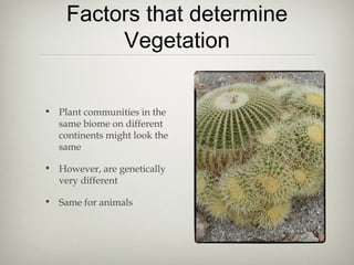 Factors that determine
         Vegetation


• Plant communities in the
  same biome on different
  continents might look the
  same

• However, are genetically
  very different

• Same for animals
 