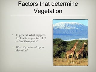 Factors that determine
         Vegetation


• In general, what happens
  to climate as you travel N
  or S of the equator?

• What if you travel up in
  elevation?
 