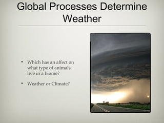 Global Processes Determine
          Weather



• Which has an affect on
  what type of animals
  live in a biome?

• Weather or Climate?
 