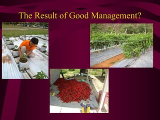 The Result of Good Management?

 