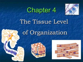 Chapter 4Chapter 4
The Tissue LevelThe Tissue Level
of Organizationof Organization
 