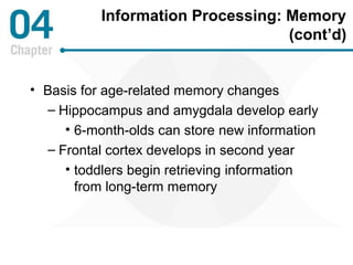 Information Processing: Memory 
(cont’d) 
• Basis for age-related memory changes 
– Hippocampus and amygdala develop early 
• 6-month-olds can store new information 
– Frontal cortex develops in second year 
• toddlers begin retrieving information 
from long-term memory 
 